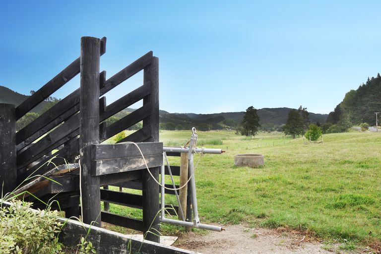 Photo of property in 805 Woodcocks Road, Kaipara Flats, Warkworth, 0981