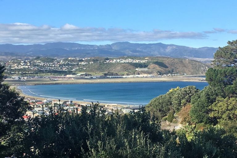 Photo of property in 25 Hornsey Road, Melrose, Wellington, 6023