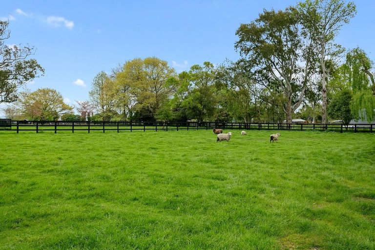 Photo of property in 638 Marychurch Road, Matangi, Hamilton, 3284