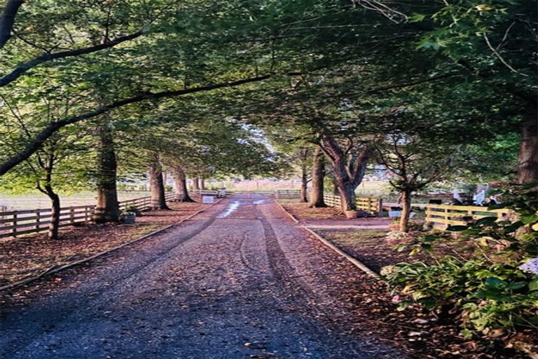 Photo of property in Long Cottage Gallery, 145 Iona Road, Havelock North, 4130