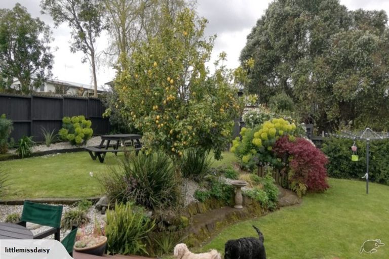 Photo of property in 22 Colquhoun Place, Dinsdale, Hamilton, 3204