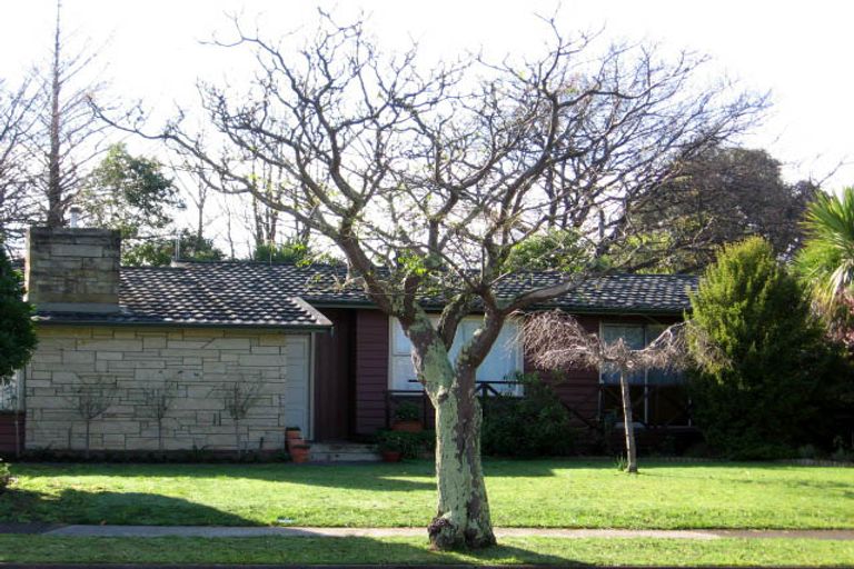 Photo of property in 12 Berkley Place, Awapuni, Palmerston North, 4412