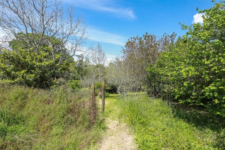 Photo of property in 58 Union Street, Waihi, 3610