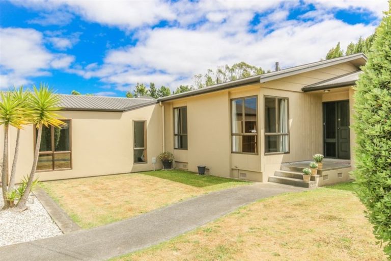 Photo of property in 24 Burtts Road, Durie Hill, Whanganui, 4500