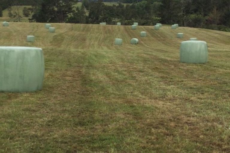 Photo of property in 649f Esdaile Road, Whakamarama, Tauranga, 3180