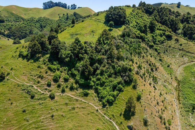 Photo of property in 80 Garden Valley Road, Wairoa Valley, Brightwater, 7091