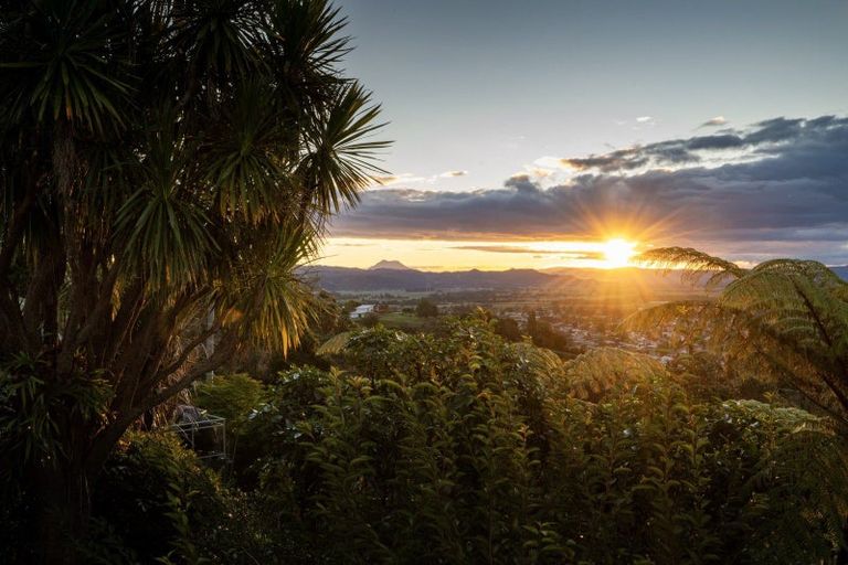 Photo of property in 92 Waiewe Street, Whakatane, 3120