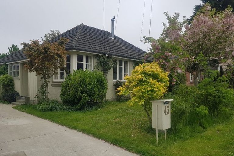 Photo of property in 43 Joy Street, Shirley, Christchurch, 8061