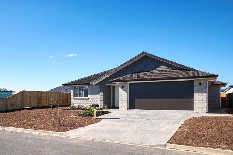 Photo of property in 49 Kahuparere Crescent, Pyes Pa, Tauranga, 3112