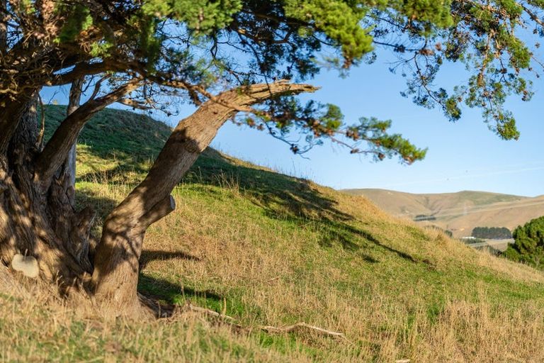 Photo of property in 105a Bradey Road, Pauatahanui, Porirua, 5381
