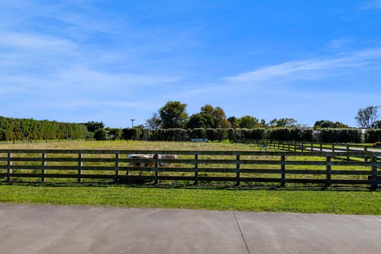 Photo of property in 123 Princess Street, Waitara, 4383