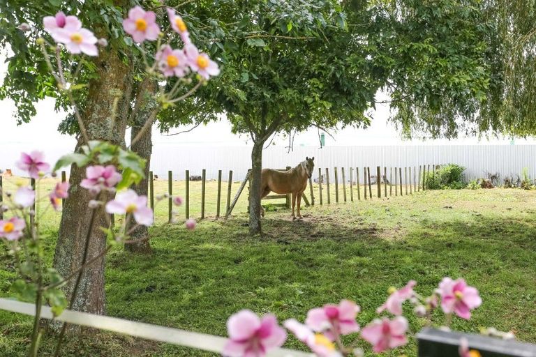 Photo of property in 25 Simpson Road, Westmere, Whanganui, 4574