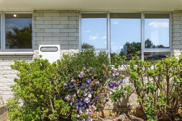 Photo of property in 4 Harlock Place, Huntly, 3700