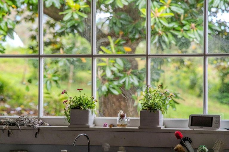 Photo of property in 156 Landing Road, Kerikeri, 0230