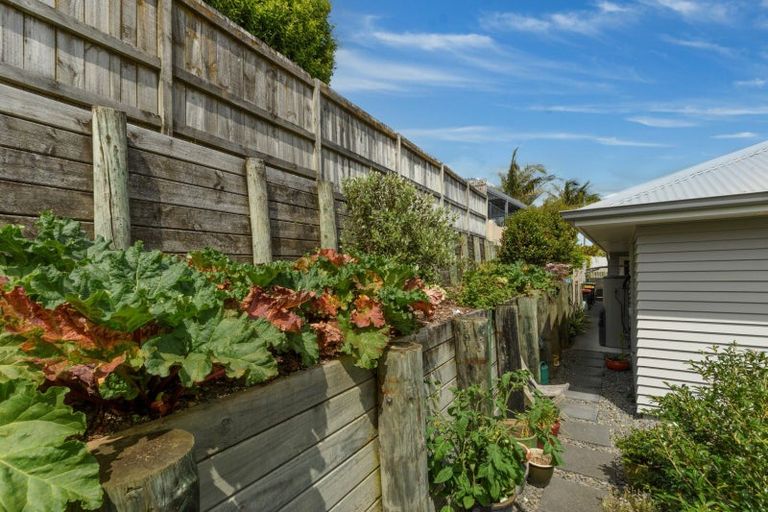 Photo of property in 16 Saint Michaels Avenue, Bethlehem, Tauranga, 3110