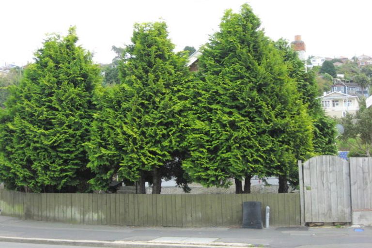 Photo of property in 150 South Road, Caversham, Dunedin, 9012