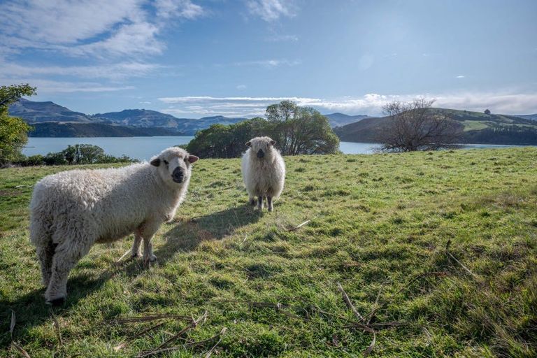 Photo of property in 261 Beach Road, Akaroa, 7520