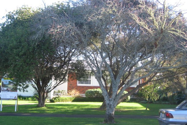 Photo of property in 25 Clematis Avenue, Pukete, Hamilton, 3200