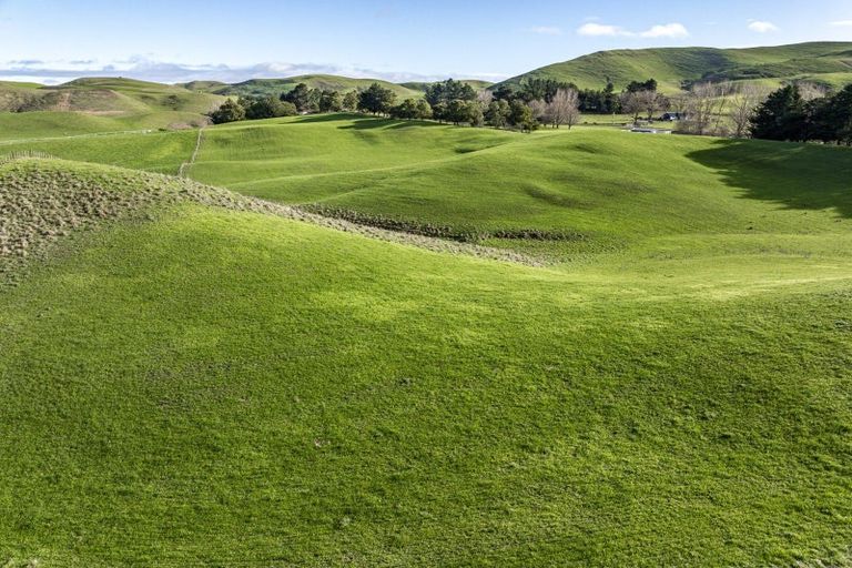 Photo of property in 930 Te Aute Trust Road, Poukawa, 4178