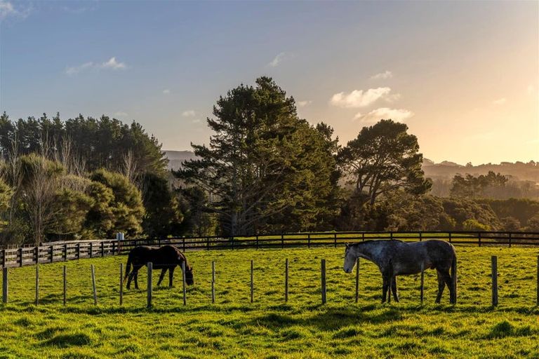 Photo of property in 93 Nixon Road, Taupaki, 0782