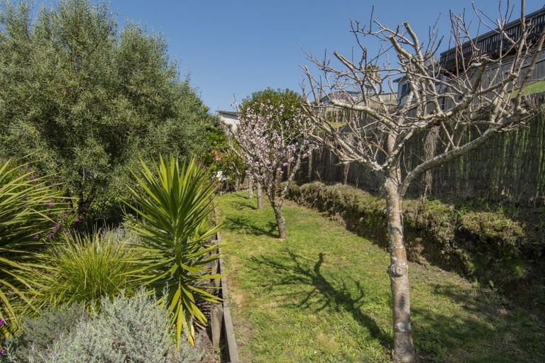 Photo of property in 74 Bell Street, Judea, Tauranga, 3110