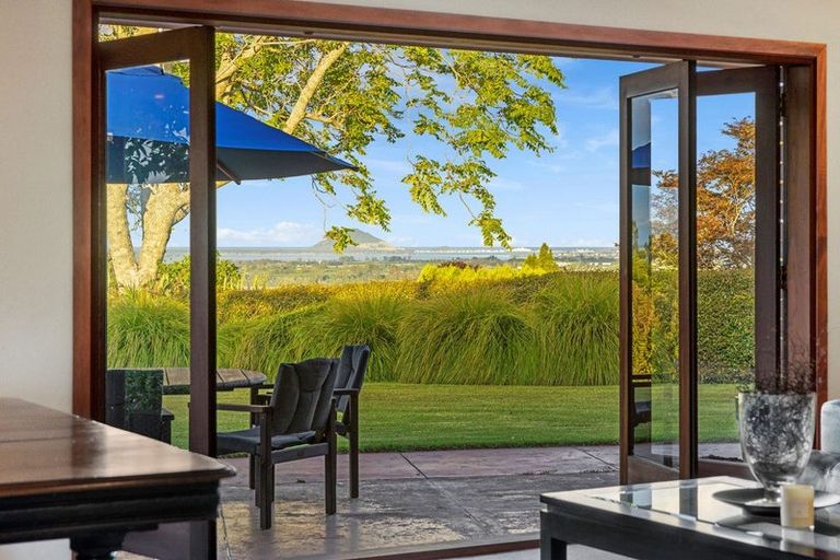 Photo of property in 196 Whakamarama Road, Whakamarama, Tauranga, 3179