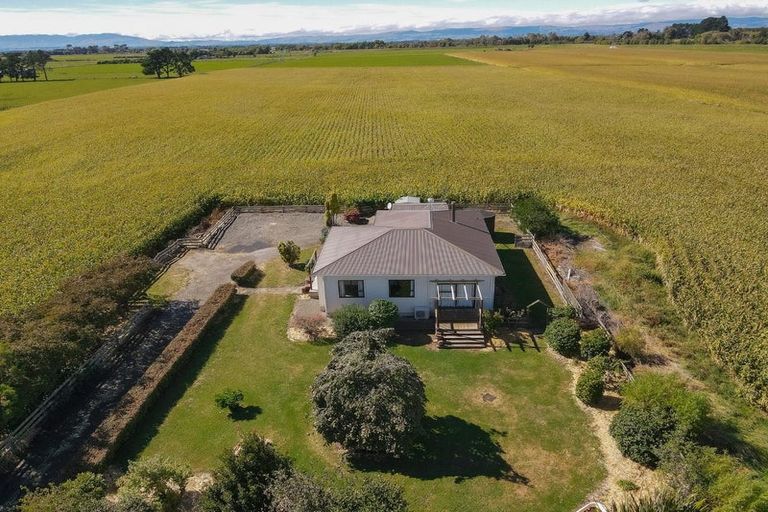 Photo of property in 421 Green Road, Rongotea, Palmerston North, 4476