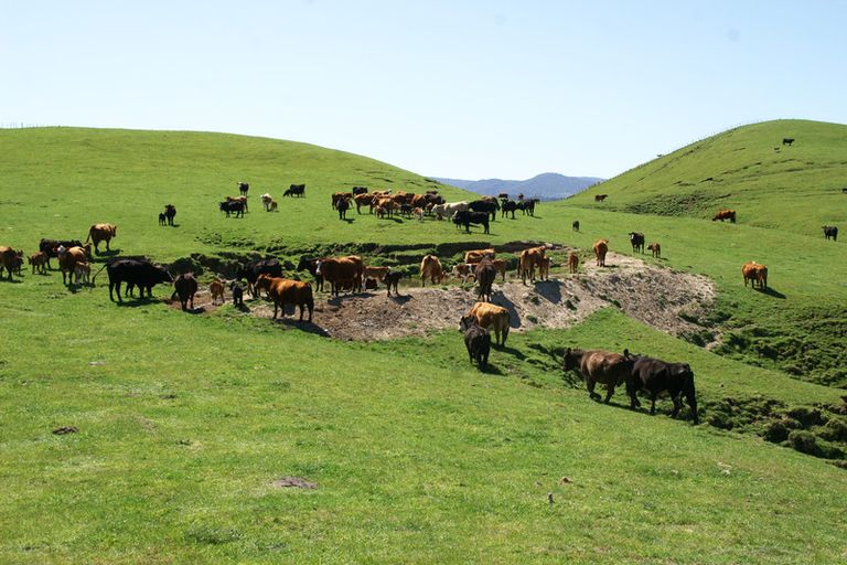 Photo of property in 89 Mcdonald Street, Napier South, Napier, 4110