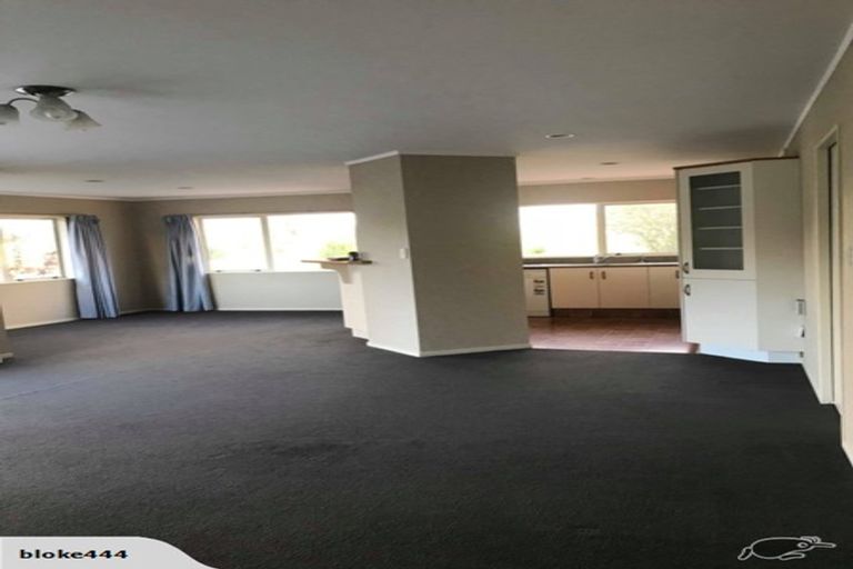 Photo of property in 17 Te Koari Drive, Brookfield, Tauranga, 3110