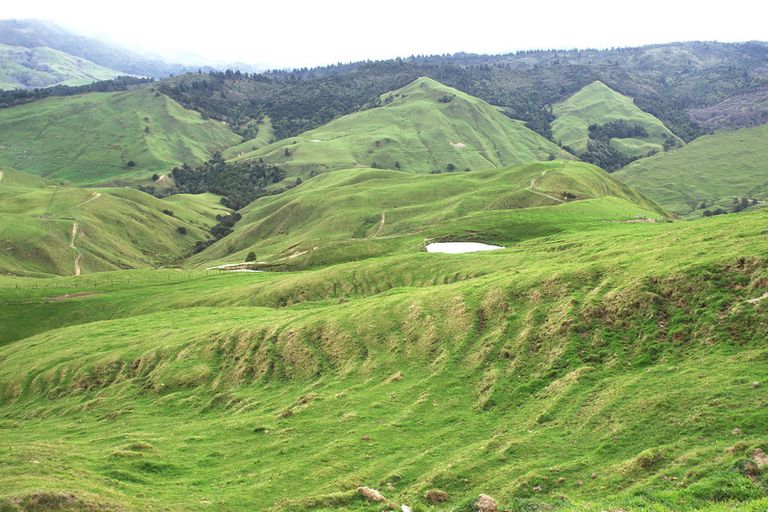 Photo of property in 89 Mcdonald Street, Napier South, Napier, 4110