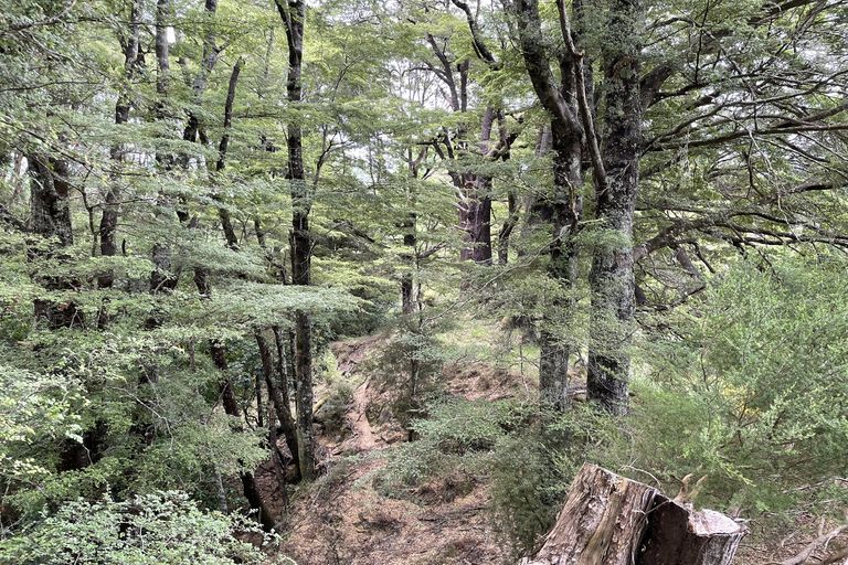 Photo of property in 3896 Ngahape Road, Ngahape, Masterton, 5890