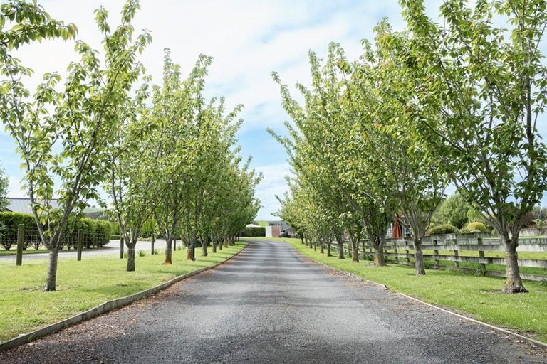 Photo of property in 141 Awamoa Road, Holmes Hill, Oamaru, 9401