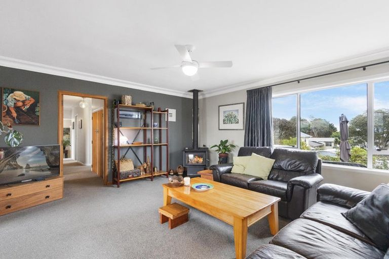 Photo of property in 14 Terrace Street, Putaruru, 3411