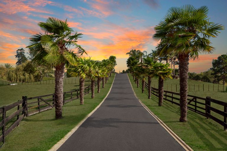 Photo of property in 366a Rotokauri Road, Rotokauri, 3289