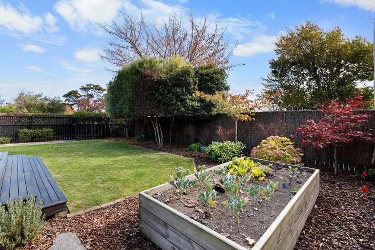 Photo of property in 102 Somerfield Street, Somerfield, Christchurch, 8024