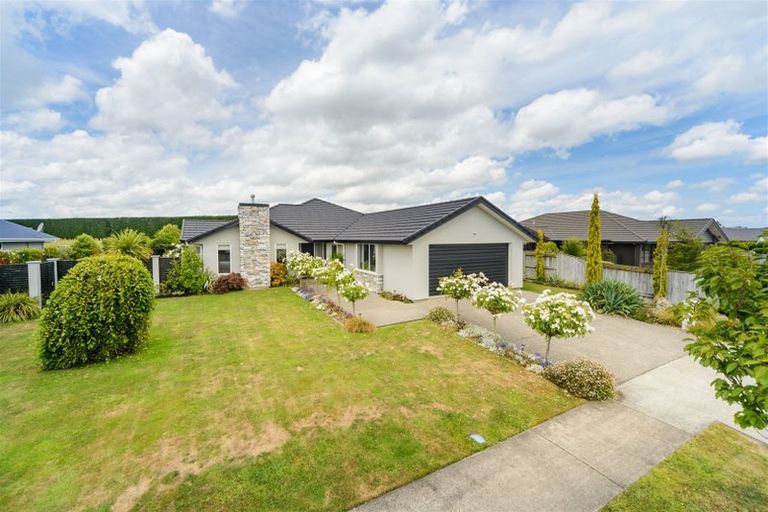 Photo of property in 36 Accolade Street, Feilding, 4702