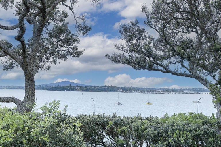 Photo of property in 1/69 Princes Street, Northcote Point, Auckland, 0627