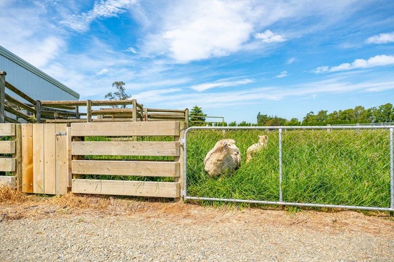 Photo of property in 8 Arowhenua Station Road, Kerrytown, Timaru, 7973