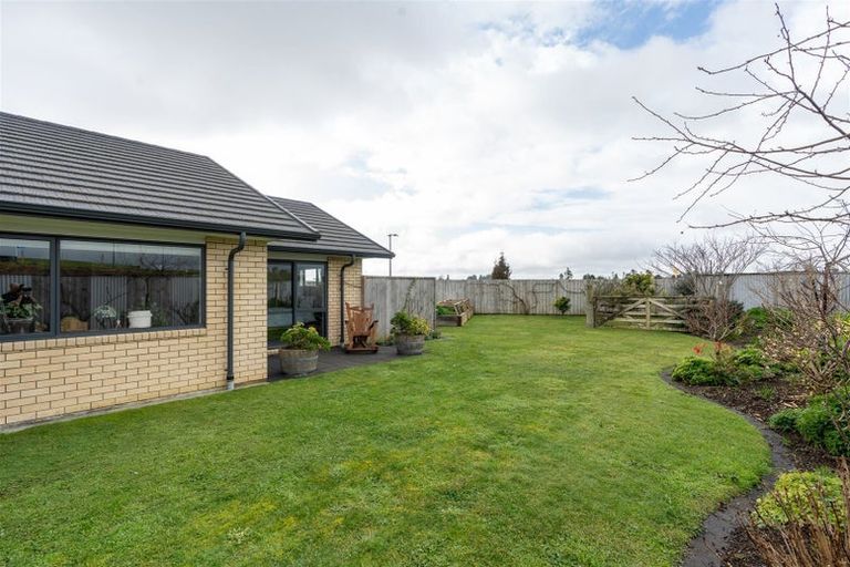 Photo of property in 26 Kawariki Drive, Baverstock, Hamilton, 3200