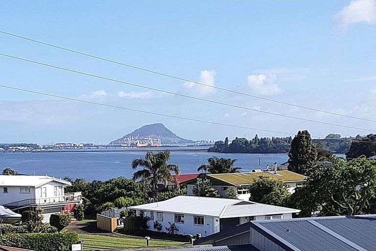 Photo of property in 361a Maungatapu Road, Maungatapu, Tauranga, 3112