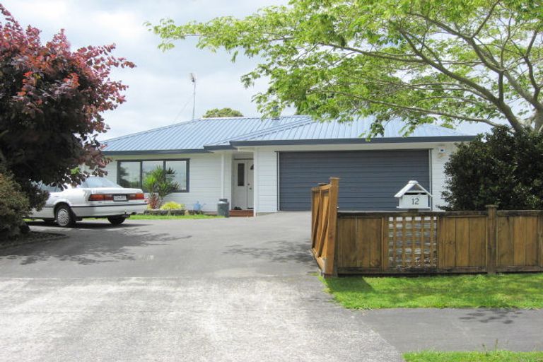 Photo of property in 12 Landon Place, Pukekohe, 2120