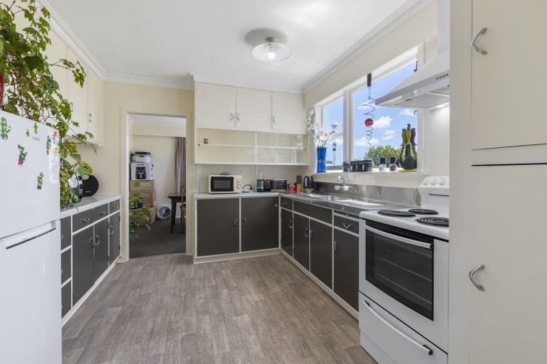 Photo of property in 17 Marlborough Street, Levin, 5510