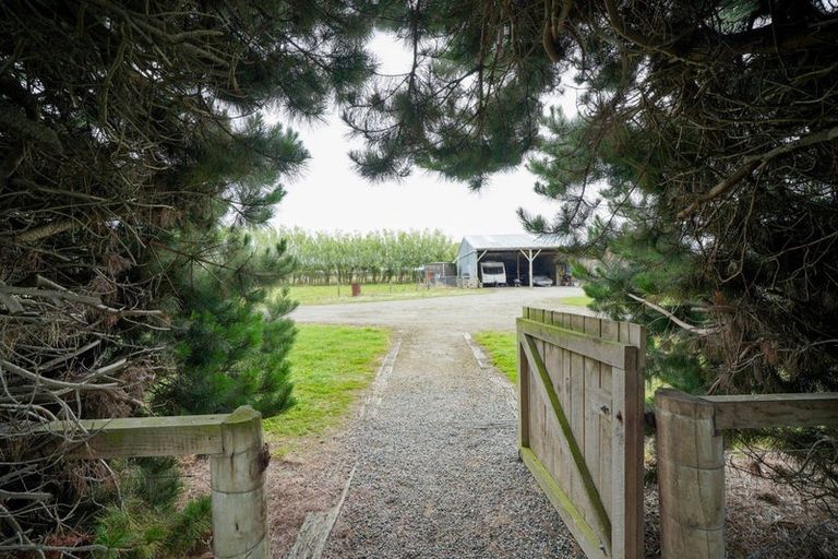 Photo of property in 644 Ryal Bush Wallacetown Road, Wallacetown, Invercargill, 9874