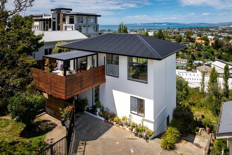 Photo of property in 54 Napier Terrace, Hospital Hill, Napier, 4110