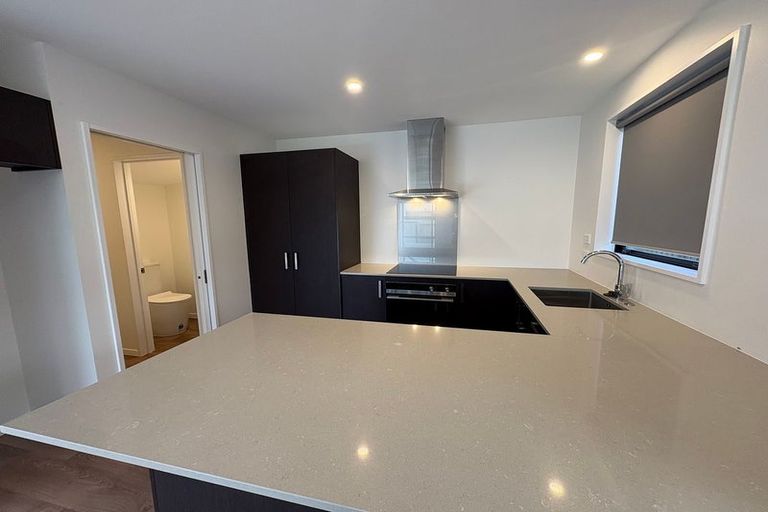 Photo of property in 2/163 Bordesley Street, Phillipstown, Christchurch, 8011