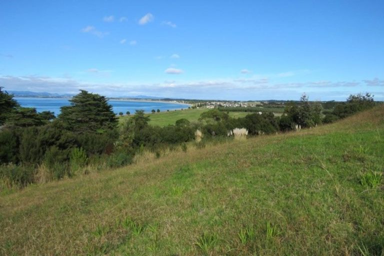 Photo of property in 12 Akeake Crescent, Karikari Peninsula, 0483