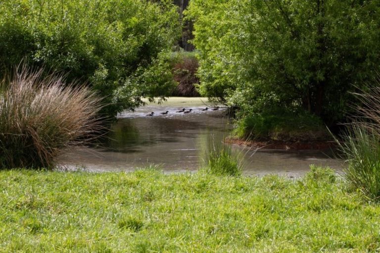 Photo of property in 186 Kaukatea Valley Road, Okoia, Wanganui, 4582