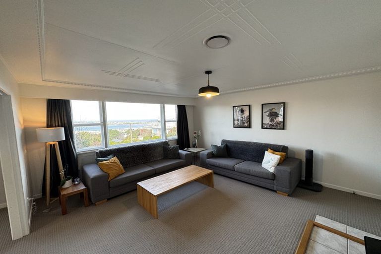 Photo of property in 8a Merlin Street, Roslyn, Dunedin, 9010