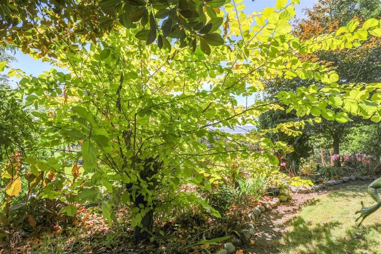 Photo of property in 103b Ginn Road, Rotowaro, Huntly, 3771