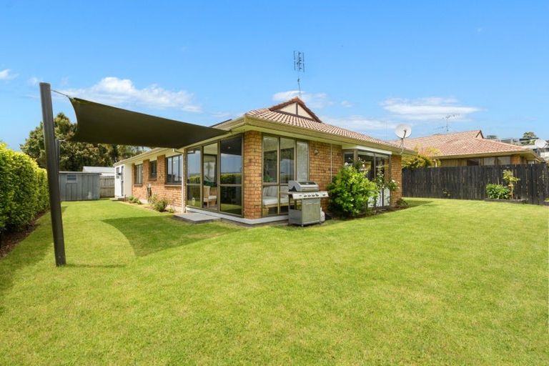 Photo of property in 4b Norton Road, Otumoetai, Tauranga, 3110